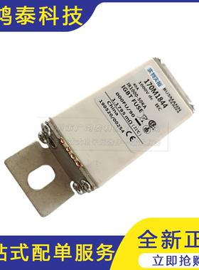 全新 170M1844元器件保护装置 低压熔断器 高速熔丝质量保证