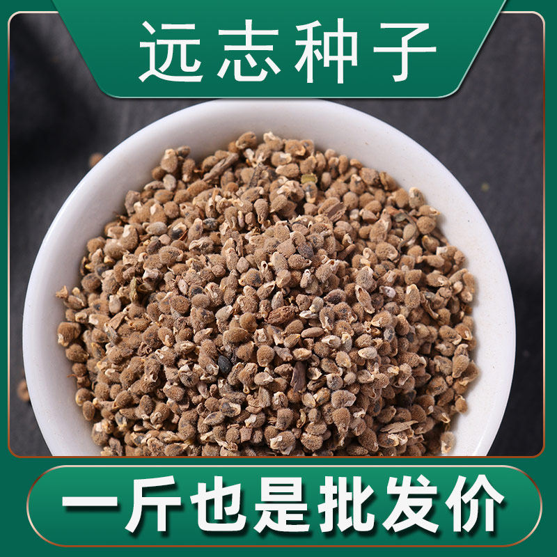 远志种籽散装野生中药材细叶远志的种子种植苗一斤500g春季秋季种