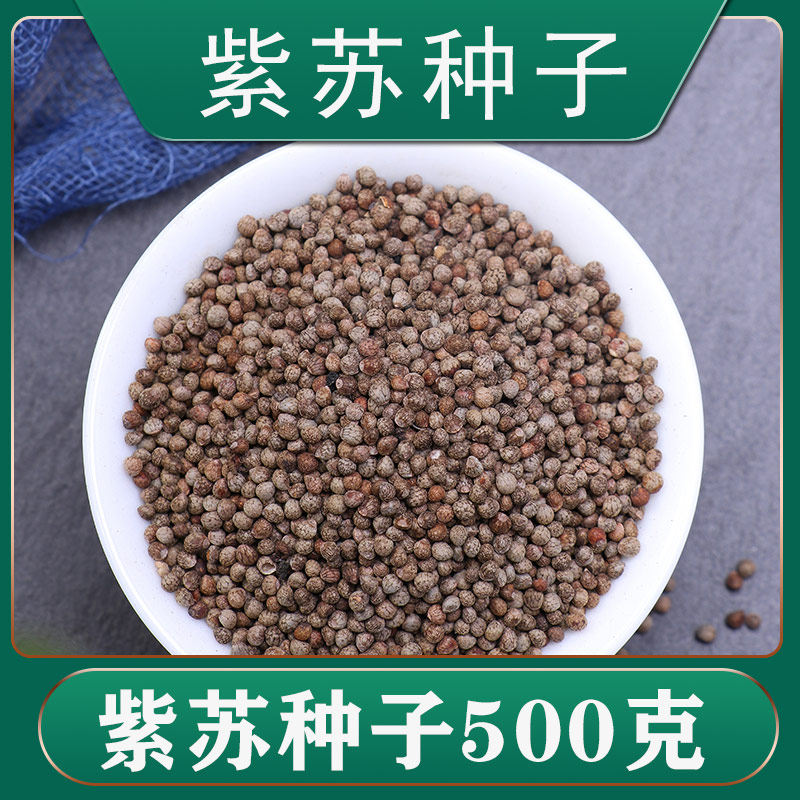 紫苏种籽散装春秋季蔬菜紫苏种植种子孑药用食用紫苏叶盆栽苗四季