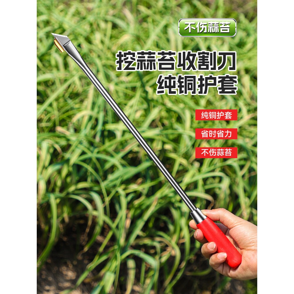 抽蒜苔神器蒜薹收割刀抽蒜器拔剥提打蒜苔划蒜苗蒜台摘蒜苗的工具