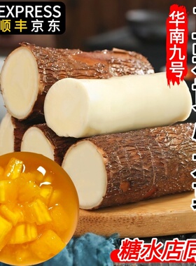 黄心木薯新鲜现挖黄肉木署华南九号粉糯广西农家特产当季板栗红薯