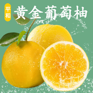 福建平和琯溪黄金爆汁葡萄柚5斤黄心西柚新鲜水果