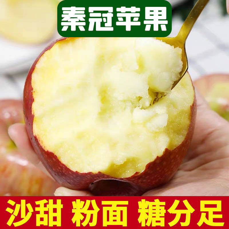 陕西秦冠苹果粉面纯甜老少适宜整箱当季新鲜水果花牛同款口感,水产肉类/新鲜蔬果/熟食,苹果,淘宝优惠券,粉丝福利购,淘宝优惠卷