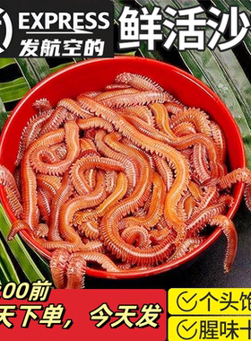 沙蚕红青虫鲈鱼饵蚂蝗蜈蚣