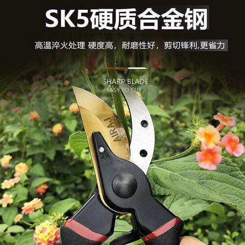 修枝剪刀省力防锈园艺剪刀果枝剪刀花枝剪园林剪刀摘果