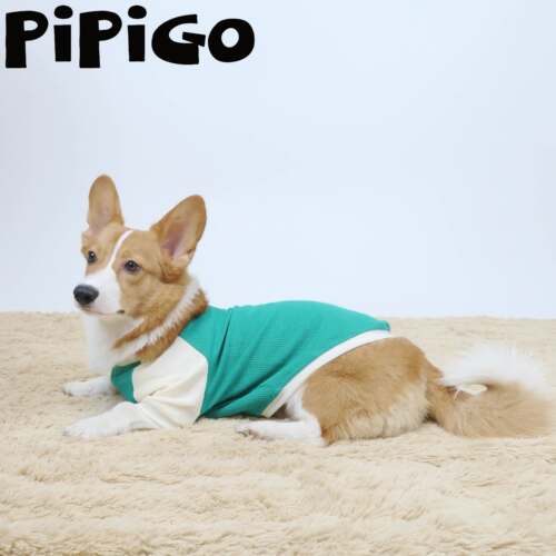 宠物狗狗可爱华夫格纯棉T恤卫衣服春季夏橘色屁屁狗柯基柴犬腊肠