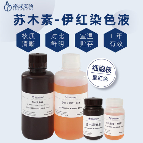 白鲨细胞核呈蓝色细胞质呈红色