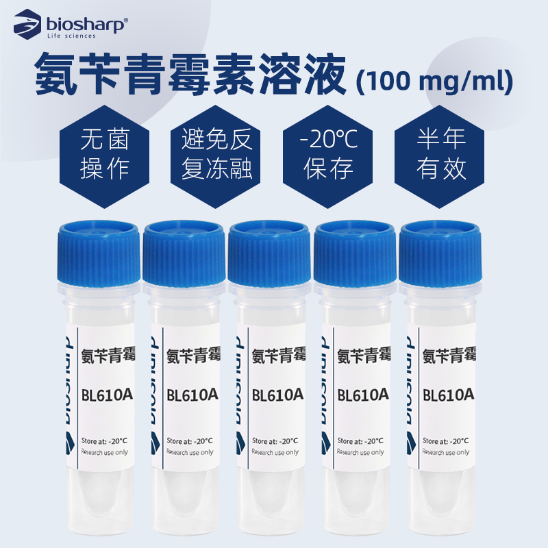 白鲨氨苄青霉素溶液-20°C保存