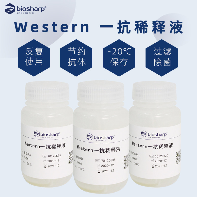 biosharp  western一抗稀释液primary antibody dilution buffer