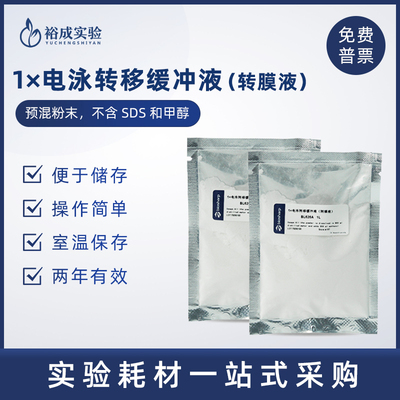biosharp蛋白电泳转膜液