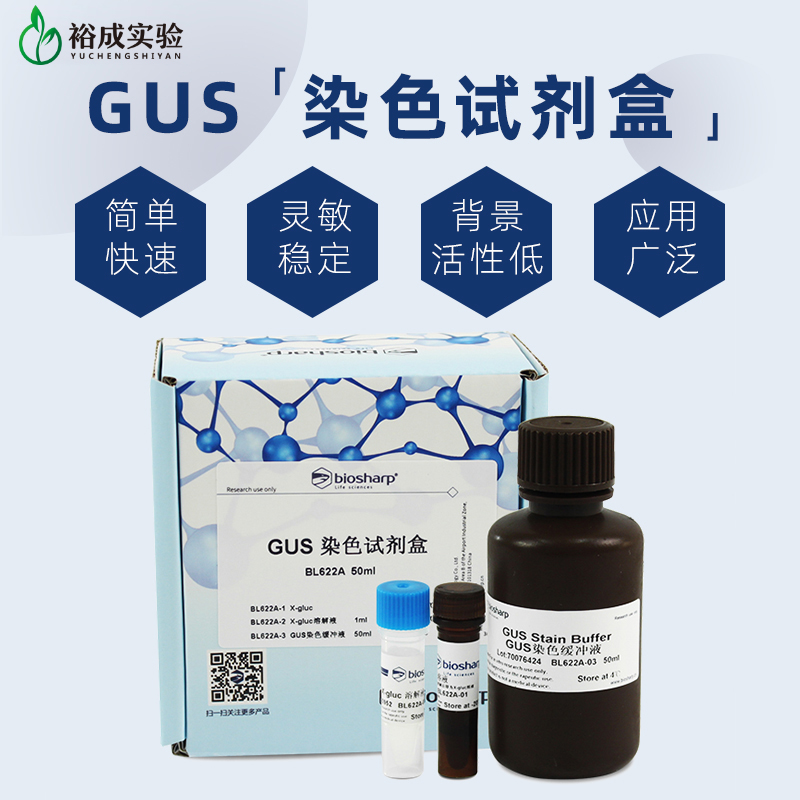 biosharp白鲨GUS染色试剂盒