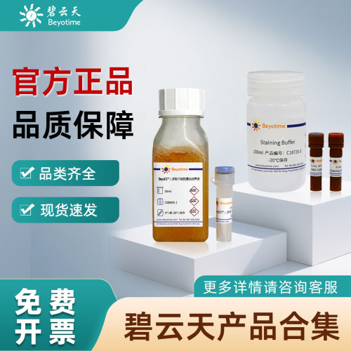 碧云天试剂专项订购 核酸提取试剂盒 BCA蛋白定量 染色试剂盒等实验室细胞、分子、蛋白类生物试剂 规格齐全