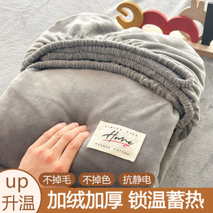 2025新款牛奶绒单件床笠冬季加厚床罩席梦思床垫保护套全包围床套