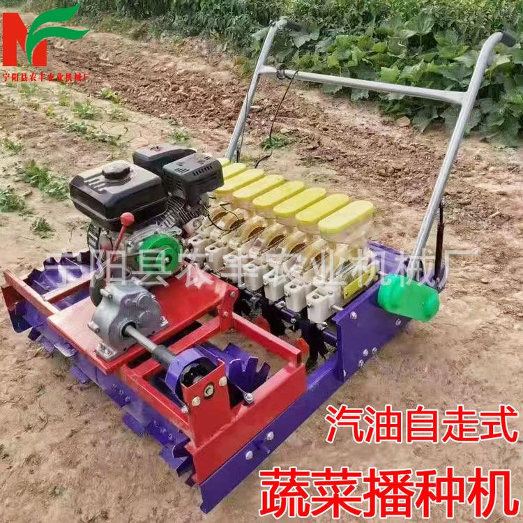 蔬菜播种机手推电瓶驱动多功能菜籽中药草小颗粒种子精播机厂家