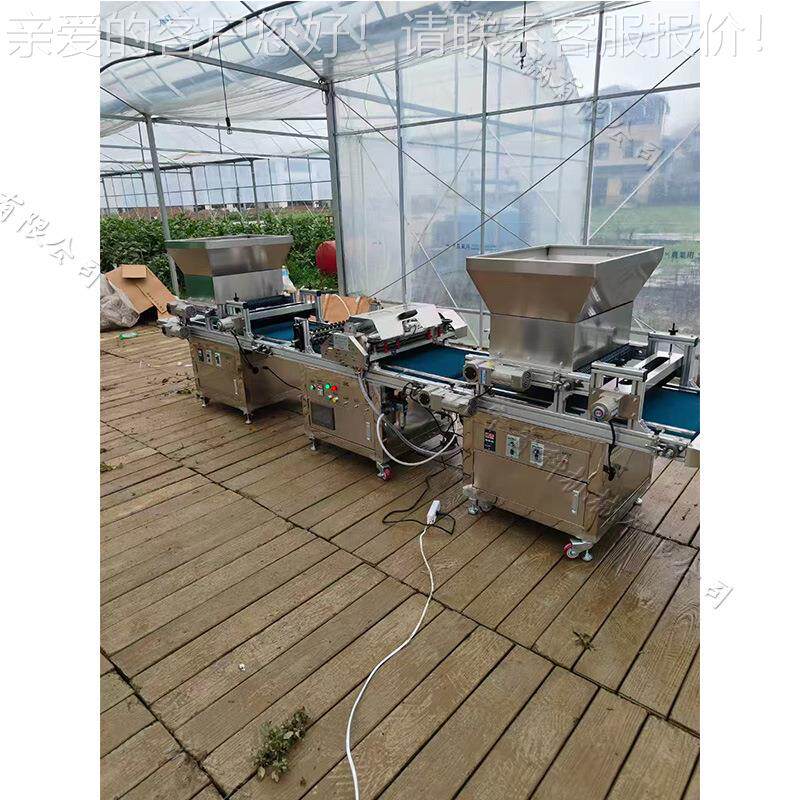 全自动穴盘育苗播种机中药材种子育秧点播机带洒水育苗点种机