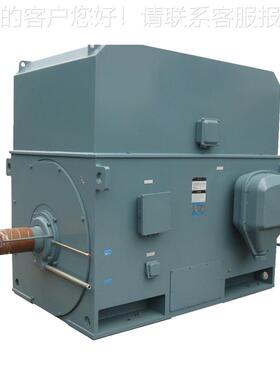 Y5003-10 400W 6V 595R高压电动机含空空冷却器