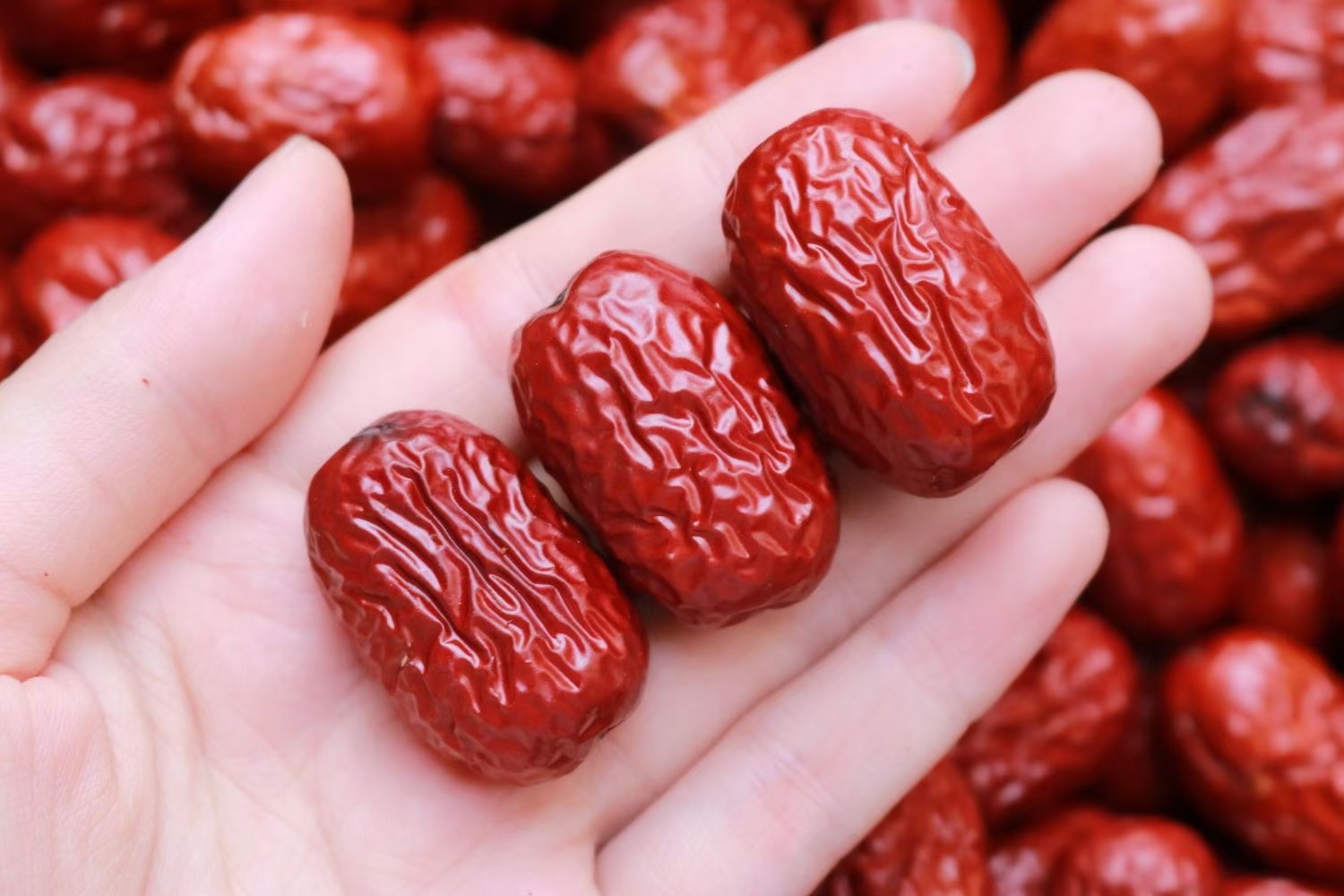 新疆枣江湖红枣俗话说一日吃三枣青春永不老每天都要吃原色足500g