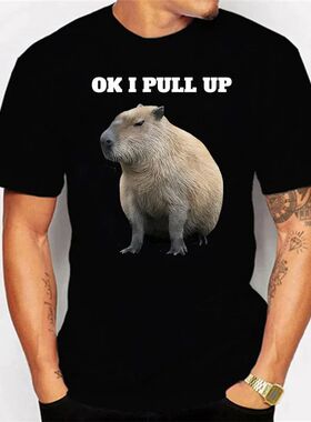 FP Ok I Pull Up Capybaras Capybara Print Mens Oversized T Sh