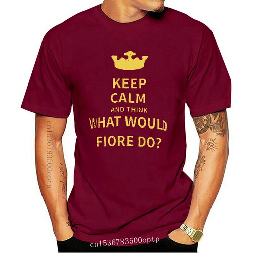 New Fasten your seatbelts T Shirt hema longsword fiore fiore