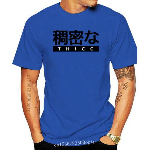New Aesthetic Japanese THICC Logo (grunge effect) #2 T shirt