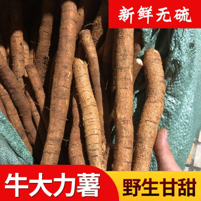 牛大力野生新鲜广东煲汤料粉质薯