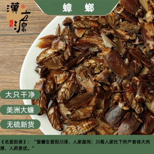 蟑螂中药材蟑螂干小强黄婆娘偷油婆蟑螂干500克包邮蜚蠊香娘子