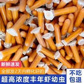 丰年虾卵免孵化冷冻卤幼鱼食孔雀鱼幼鱼饲料开口卵冰冻丰年虫幼虫