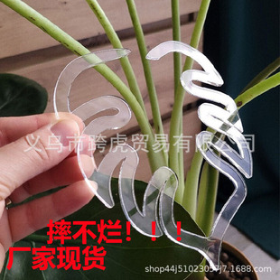 Turtle Shell Bamboo花茎固定器 跨境新款龟背竹花型叶子固定绿植