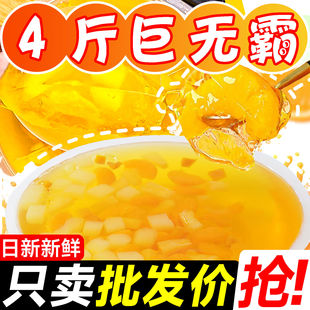 【多人分享】巨型2Kg超大果冻之宝巨无霸超级零食很大很忙水果味