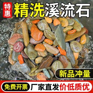 50斤装原生态溪流石鱼缸造景天然溪流石古法养鱼专用底砂装饰水族