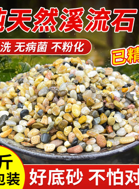 50斤天然鹅卵石溪流石鱼缸铺底