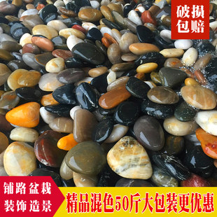 50斤鹅卵石庭院花园造景天然大小石头雨花石铺路铺地原石鹅软暖石