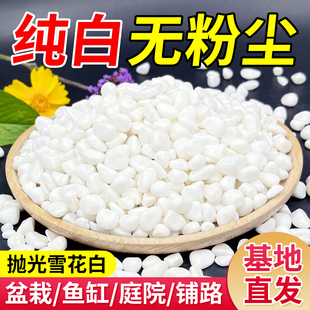 5斤白色鹅卵石白石子鱼缸铺底盆栽庭院造景铺路多肉铺面天然小石