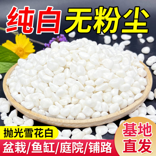 5斤白色鹅卵石白石子鱼缸铺底盆栽庭院造景铺路多肉铺面天然小石