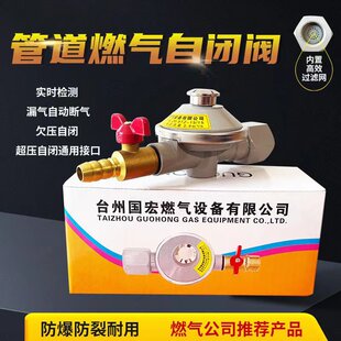 天然气自闭阀 DN15燃气管道防漏阀灶前漏气保护阀 超压欠压自闭阀
