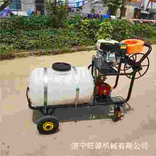 推菜地灭虫手推式打药机汽油手式式打药机电动拉管式林打园药机
