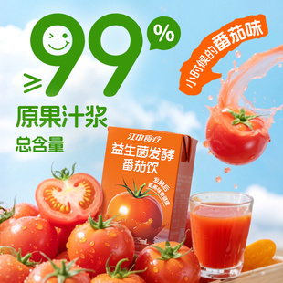 江中食疗番茄汁饮料益生菌发酵果蔬汁番茄红素儿童健康0脂无添加