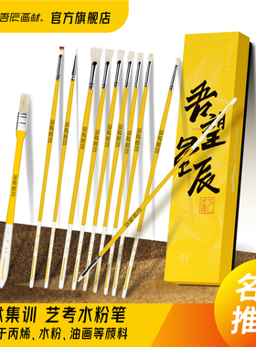 吾望星辰水粉笔套装扇形笔美术生专用丙烯画笔油画笔专业刷子勾线笔平头水洗猪鬃11支装吾辰画材旗舰店