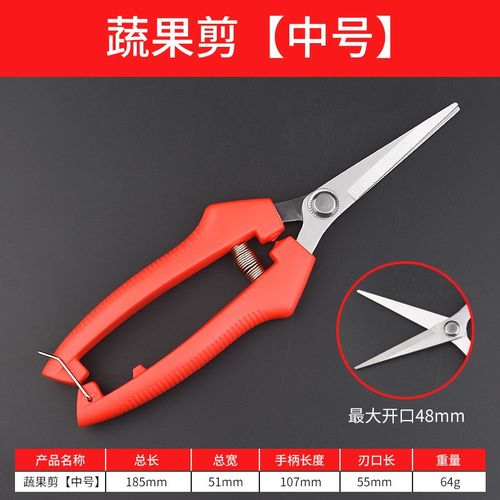 家用剪刀树枝剪手工小型花枝剪果树修枝I剪刀园艺省力修花枝剪家