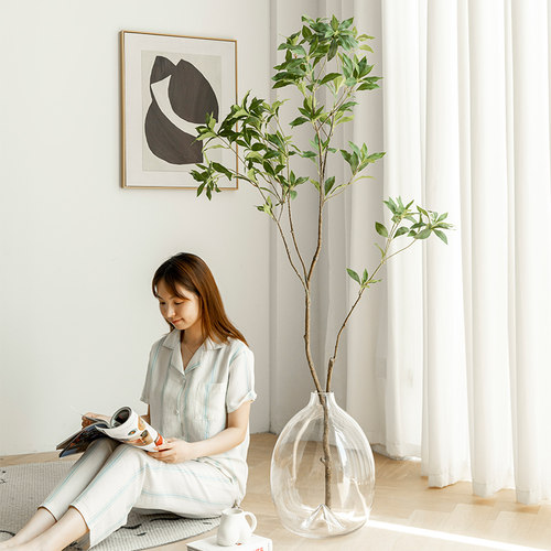 大肚瓶马醉木专用吊钟南天竹落地客厅落地大花瓶插花绿植创意摆件