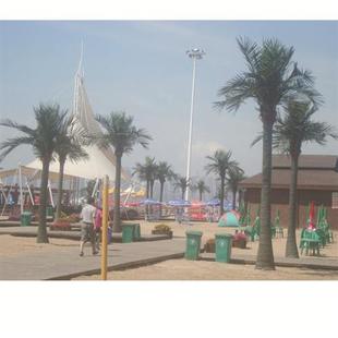 仿真椰子树假树厂专业承接景观工程造景树抗风雪压年不断杆