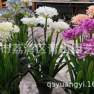 仿真绿植景观摆件室内外盆栽广州厂家直供假水仙花红星花观赏植物