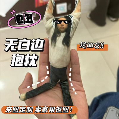 x挂件异形恶搞睡觉靠枕丑玩偶定制人形玩偶定制真人无边抱枕猫咪