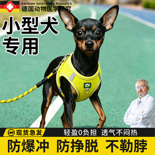 【小鹿犬专用牵引绳】外出遛狗绳