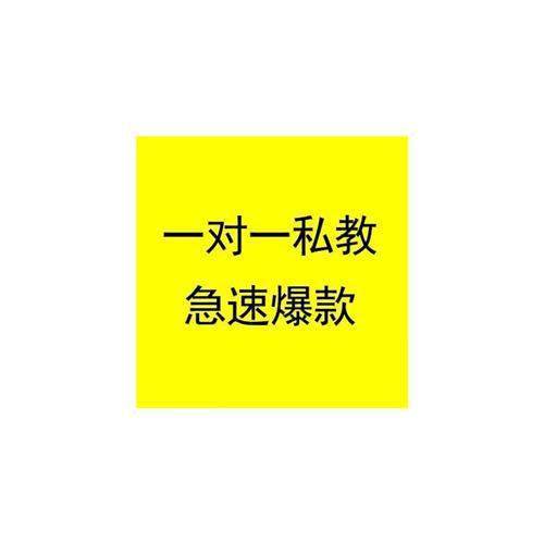 淘宝运营一对一培训电商T开网店教.程新手开店培训课.程店铺推广