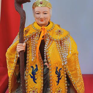 泰山奶奶凤袍观音新款王母娘娘斗篷手工刺绣古风黑老太太仙家披风