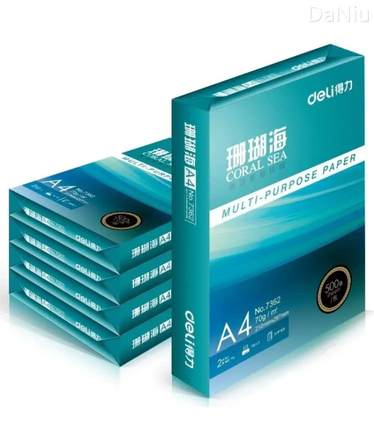 得力A4复印纸珊瑚海70g双面白令海a4打印纸500张/包整箱5包喷墨