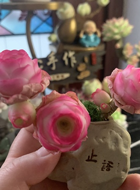 Cc原创迷你树脂黏土仿真多肉玫瑰植物小老桩水晶虾饺汽车摆件生日