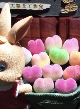 Cc手作树脂黏土仿真多肉植物毛汉尼小兔子碧光环桌面装饰生日礼物