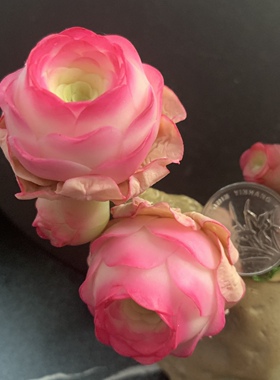 Cc原创迷你树脂黏土仿真多肉玫瑰植物小老桩水晶虾饺汽车摆件生日